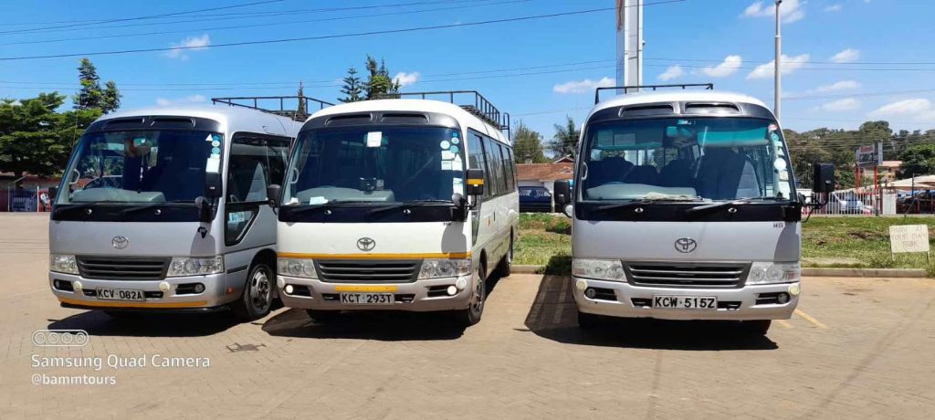 Daily Luxury Shuttle Bus